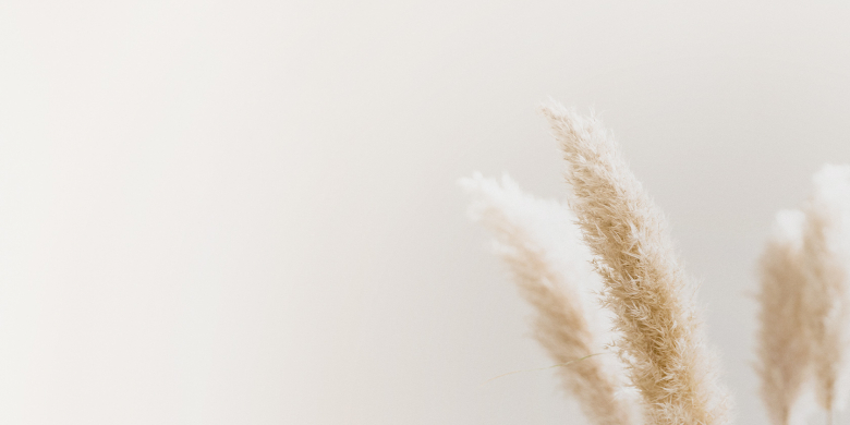 Get2 Aesthetics Plastische & Ästhetische Chirurgie Braunschweig & Hannover