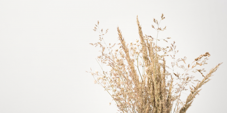 Get2 Aesthetics Plastische & Ästhetische Chirurgie Braunschweig & Hannover